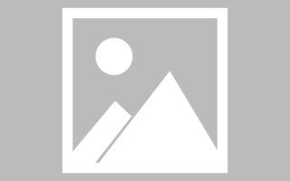 雅安绥化网站搭建公司有哪些（信息网绥化）