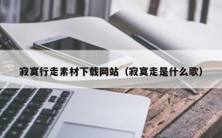 雅安寂寞行走素材下载网站（寂寞走是什么歌）